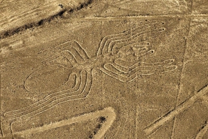 Lima: Nazca Lines, Winery and Huacachina Oasis Private Tour