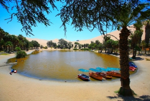 Lima: Nazca Lines, Winery and Huacachina Oasis Private Tour