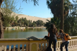 Lima: Nazca Lines, Winery and Huacachina Oasis Private Tour