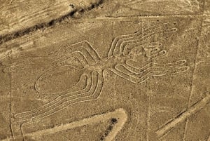 Best tours to Nazca Lines in Peru