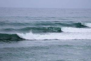 Lima: prywatna lekcja surfingu w Miraflores