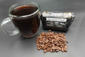 Lima: Pyramid Pucllana Miraflores, Barranco 18 km E-bike. Drikkevarer x 3