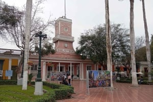 Lima: Pyramid Pucllana, Miraflores, Barranco 18 km E-bike. Drinks x 3