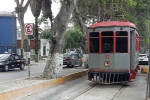 Lima: Pyramid Pucllana, Miraflores, Barranco 18 km E-bike. Drinks x 3