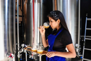 Lima: Seafood and Craft Beer Pairing Experience