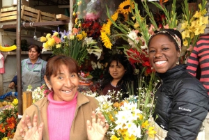 Lima: The Shanty Town Tour (Local Life Experience)