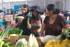 Lima: The Shanty Town Tour (Local Life Experience)