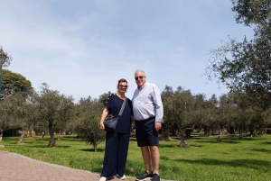 Lima: Tour in Miraflores, San Isidro, Barranco & Chorrillos