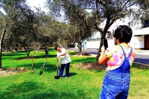 Lima: Tour in Miraflores, San Isidro, Barranco & Chorrillos