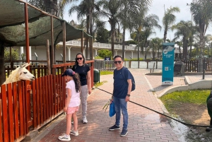Lima: Tour por Lima com degustação de Pisco e visita às Catacumbas