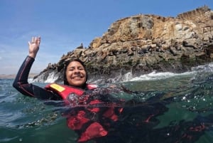 Lima: visita l'isola Palomino + 4 isole Callao + nuota con i leoni marini + biglietti
