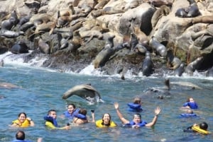 Lima: visita l'isola Palomino + 4 isole Callao + nuota con i leoni marini + biglietti
