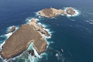Lima: visita l'isola Palomino + 4 isole Callao + nuota con i leoni marini + biglietti