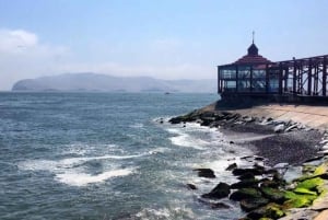 Lima: visita l'isola Palomino + 4 isole Callao + nuota con i leoni marini + biglietti
