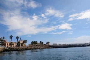 Lima: visita l'isola Palomino + 4 isole Callao + nuota con i leoni marini + biglietti