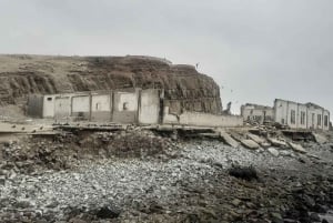 Lima: visita l'isola Palomino + 4 isole Callao + nuota con i leoni marini + biglietti