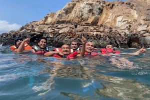 Lima: visita l'isola Palomino + 4 isole Callao + nuota con i leoni marini + biglietti