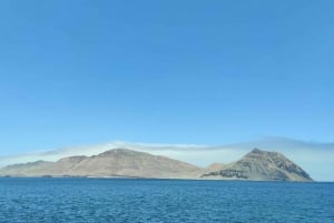 Lima: visita l'isola Palomino + 4 isole Callao + nuota con i leoni marini + biglietti