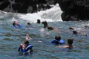 Lima: visita l'isola Palomino + 4 isole Callao + nuota con i leoni marini + biglietti