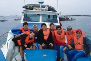 Lima: visita l'isola Palomino + 4 isole Callao + nuota con i leoni marini + biglietti