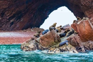 Lima : Transfert + Paracas + Huacachina + Sandboarding + Buggies