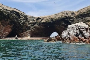 Lima : Transfert + Paracas + Huacachina + Sandboarding + Buggies