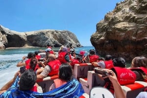 Lima : Transfert + Paracas + Huacachina + Sandboarding + Buggies