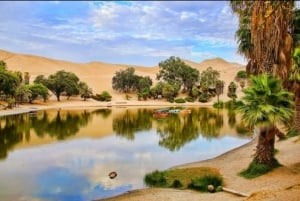 Lima : Transfert + Paracas + Huacachina + Sandboarding + Buggies