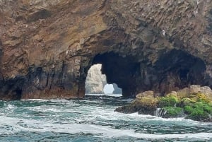 Lima : Transfert + Paracas + Huacachina + Sandboarding + Buggies