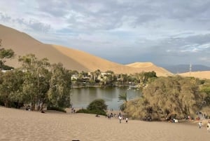 Lima : Transfert + Paracas + Huacachina + Sandboarding + Buggies