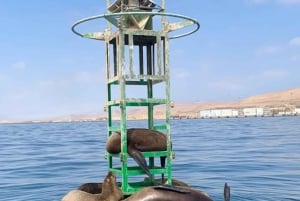 Lima : Transfert + Paracas + Huacachina + Sandboarding + Buggies