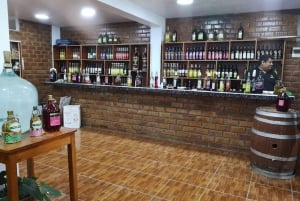 Lima : Transfert + Paracas + Huacachina + Sandboarding + Buggies