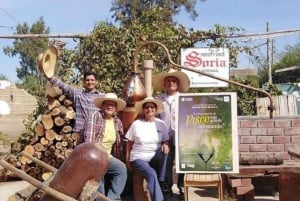 Lima : Transfert + Paracas + Huacachina + Sandboarding + Buggies