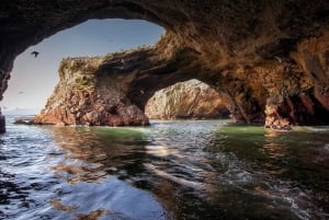 Lima : Transfert + Paracas + Huacachina + Sandboarding + Buggies