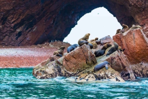 Lima: Transfer + Paracas + Huacachina + Sandboarding + Buggies