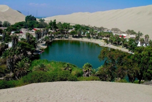 Lima: Transfer + Paracas + Huacachina + Sandboarding + Buggies