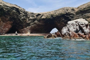 Lima: Transfer + Paracas + Huacachina + Sandboarding + Buggies