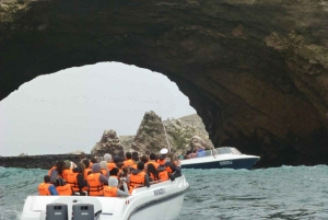 Lima: Transfer + Paracas + Huacachina + Sandboarding + Buggies