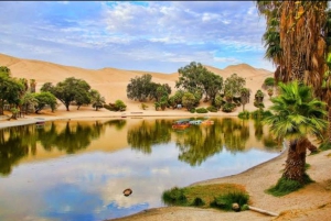 Lima: Transfer + Paracas + Huacachina + Sandboarding + Buggies