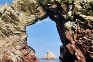 Lima: Transfer + Paracas + Huacachina + Sandboarding + Buggies