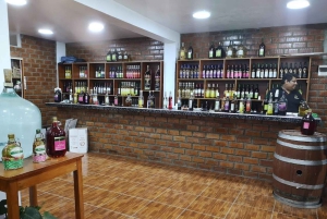 Lima: Transfer + Paracas + Huacachina + Sandboarding + Buggies