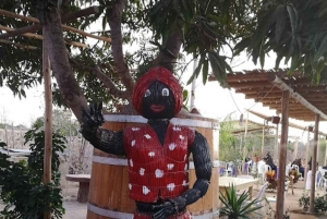 Lima: Transfer + Paracas + Huacachina + Sandboarding + Buggies