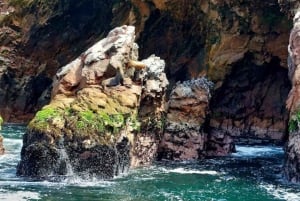 Lima: Transfer + Paracas + Huacachina + Sandboarding + Buggies