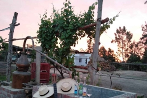 Lima: Transfer + Paracas + Huacachina + Sandboarding + Buggies