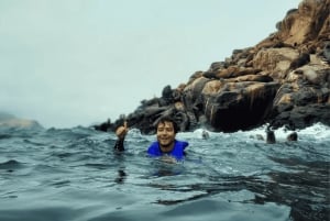Lima: visita l'isola Palomino + 4 isole Callao + nuota con i leoni marini + biglietti