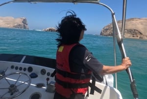 Lima: visita l'isola Palomino + 4 isole Callao + nuota con i leoni marini + biglietti