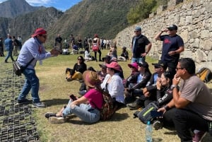 Machu Picchu: 1-dniowa wycieczka pociągiem Expedition lub Voyager