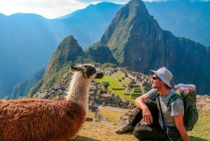 Machu Picchu: 1-day tour by Vistadome Observatory train