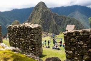 Machu Picchu: passeio de 1 dia no trem do Observatório Vistadome