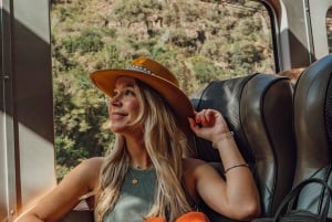 マチュ ピチュ：ビスタドーム展望台列車で行く 1 日ツアー